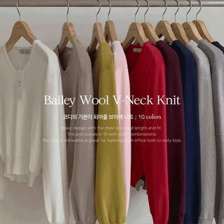 Bailey Wool V-Neck Knit -