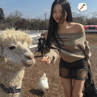 Liz Off-Shoulder Knit