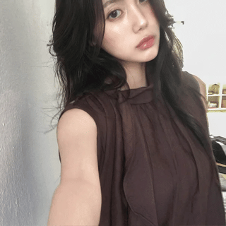 Seimo Flare Loose Fit Sheer High-Neck Sleeveless Blouse
