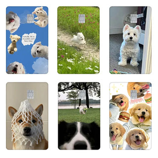 Card Sticker 1+1 2-Piece Set Debit Card Credit Card Positive Cute Stickers Card Skin Card Refurbishment