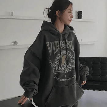 Virginia Heavy Fleece Hoodie