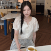 Flower embroidered short-sleeve chiffon blouse dress