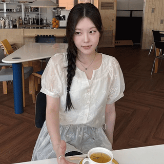 Flower embroidered short-sleeve chiffon blouse dress
