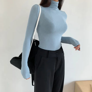 Basic Plain Long Sleeve Slim Fit See-through Turtleneck T-shirt