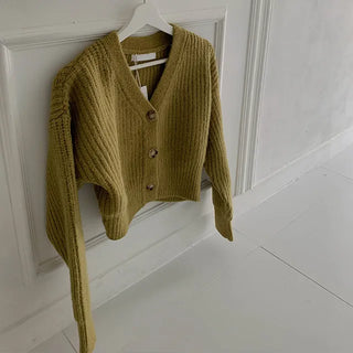 Even ribbed knit CD