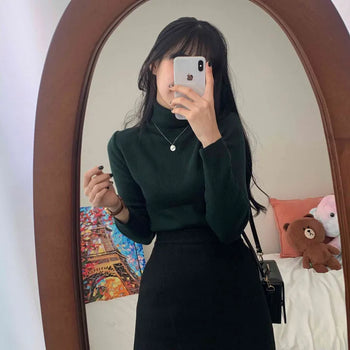 [Slim Fit/Stretchy] Basic Ribbed Turtleneck Knit (6 colors)
