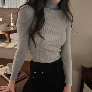 Morning Ribbed Slim Stretchy Turtleneck Knit