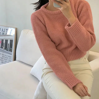 Rachel Wool Loose Fit Round Neck Semi-Crop Knit