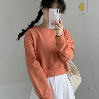 Yomi Color Crop Sweatshirt