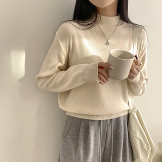 Mock Turtleneck Loose Fit Plain Long Sleeve Knit