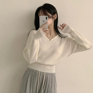 Full of Delicacy, Cashmere V-Neck Cropped Long Sleeve Knit