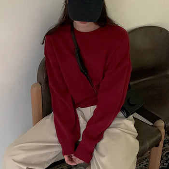 Proud Round Knit Round Neck Knit
