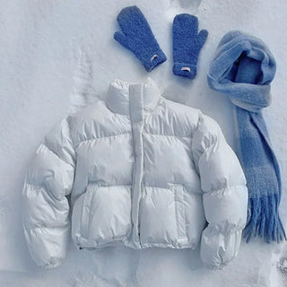 Nuptse Short Padded High-Neck Cropped Wellon Down Zip-Up Drawstring Oversized Glossy Winter Jumper