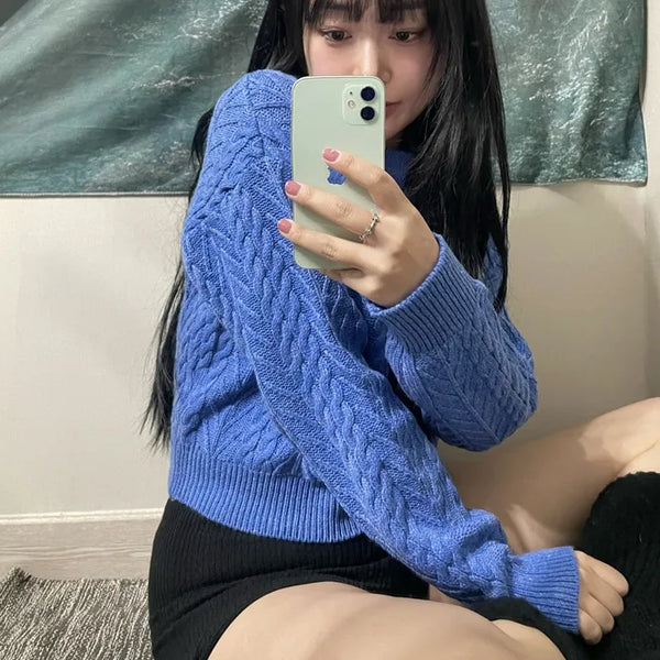 Blur Cable Knit Round Neck Knit