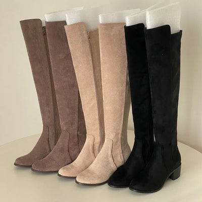 Zitein Thigh-High Suede Boots [5.5CM]