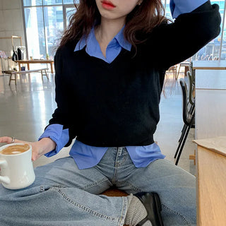 Muse V-Neck Crop Ribbed Knit Simple Long Sleeve Oversized Loose Fit Pastel