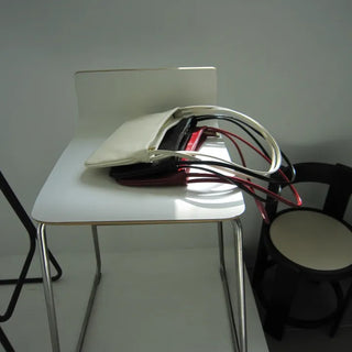 Two-striped Bag