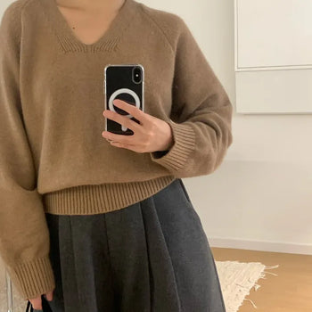 Raccoon V-neck Knit