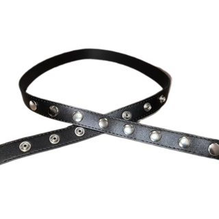 SNAP belt