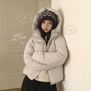 Cute Avant-garde Fit, Thick High Neck Stopper Drawstring Hooded Loose Fit Padded Jumper