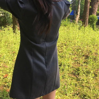 Riri Tuck Puff Sleeve Dress