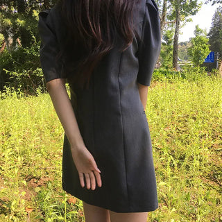 Riri Tuck Puff Sleeve Dress