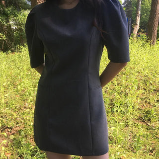 Riri Tuck Puff Sleeve Dress