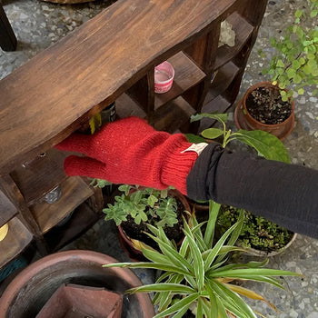 Nili Heathered Knit Gloves