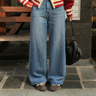 Let's Fleece-lined Denim Wide Pants