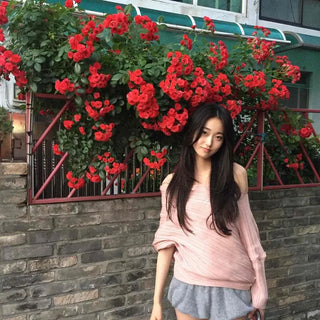 Loose Fit Plain Long Sleeve Daily