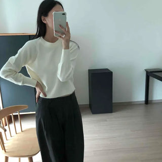 Soft and Cozy Round Neck Loose Fit Crop Knit