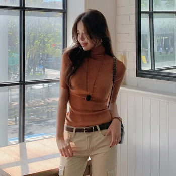 Laydin part turtleneck knit