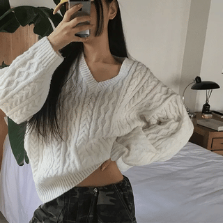 Bird Cable Knit V-Neck Knit