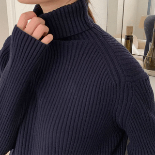 Curvy Turtleneck Knit