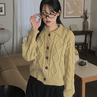 Stew Cable Knit Collar Cardigan