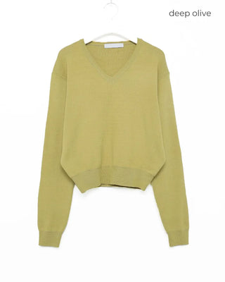 Colorful V-neck knit