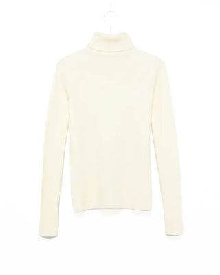 Basic turtleneck knit