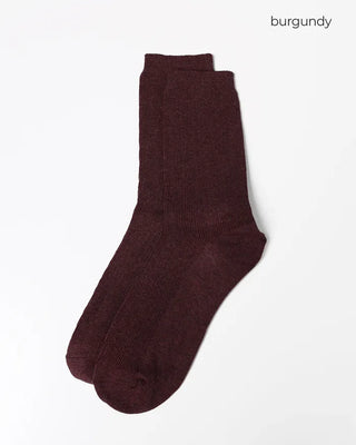 Daily Color Socks