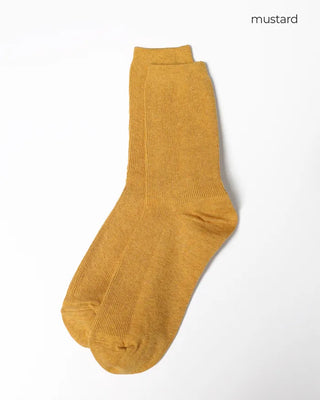 Daily Color Socks