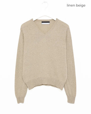 Simple V-neck knit