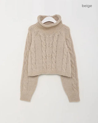 Cable Cropped Turtleneck Knit