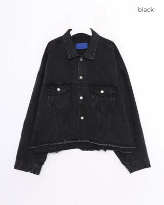 Semi-Cropped Distressed Denim Jacket