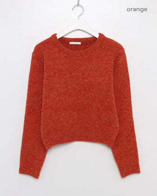 Round neck crop knit
