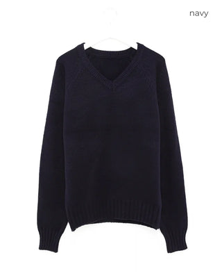 (Unisex) V-neck basic knit