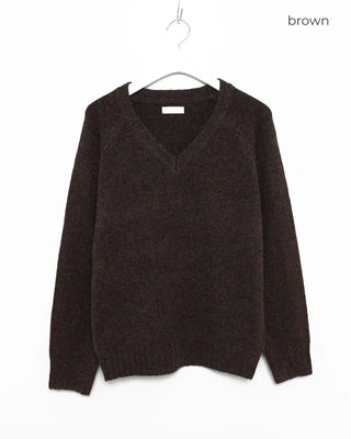 Regular Fit V-Neck Knit