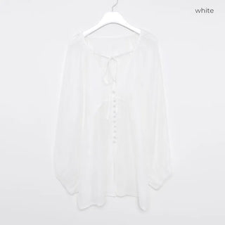 Deep V-neck sheer blouse