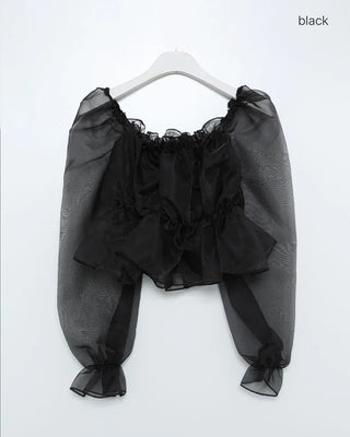 Organza chiffon shirred blouse
