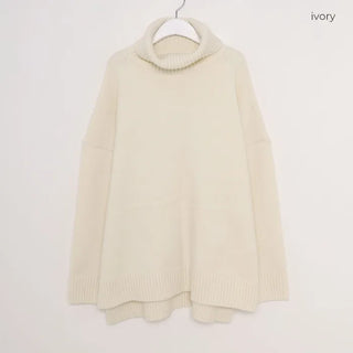 Turtleneck long knit