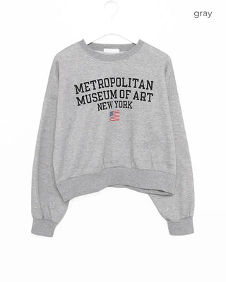 Brushed fleece USA lettering sweatshirt