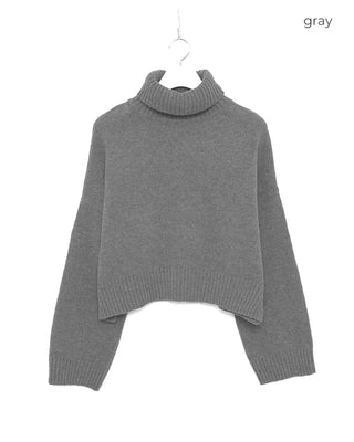 Side-slit cropped turtleneck knit